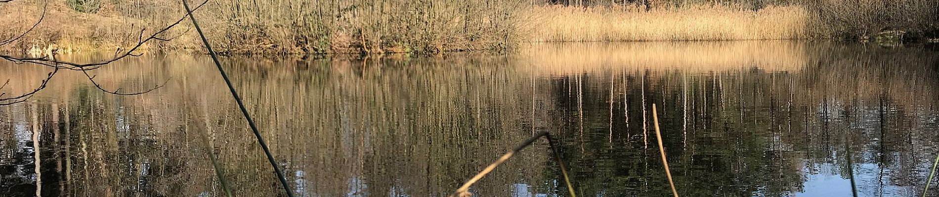 Percorso A piedi Aspach - Keuperlehrpfad - Photo