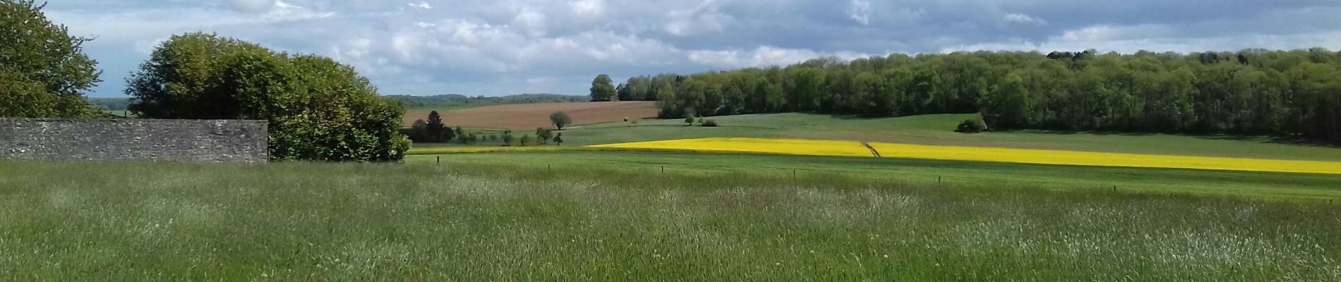 Excursión Senderismo Tinlot - Ramelot-Linchet-Bois de Forkechamps - Photo