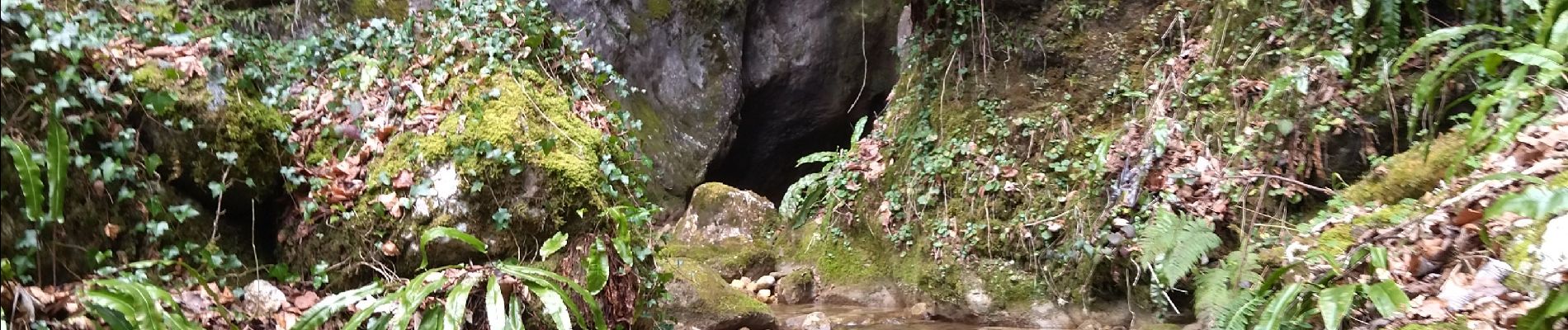 Tocht Stappen Saint-Quentin-sur-Isère - 38 St Quentin sur isere - Photo