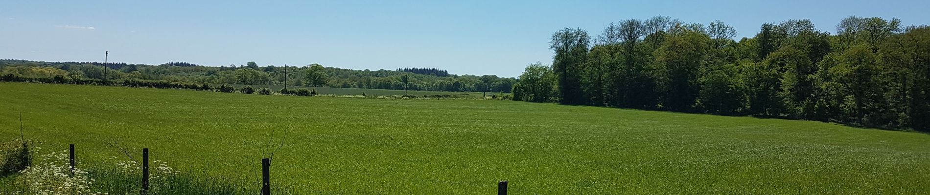 Trail Horseback riding Sivry-Rance - Rance / Renlies - Photo