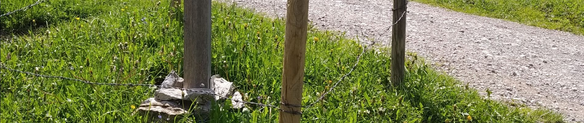 Tour Wandern La Clusaz - le Crêt du lout - Photo