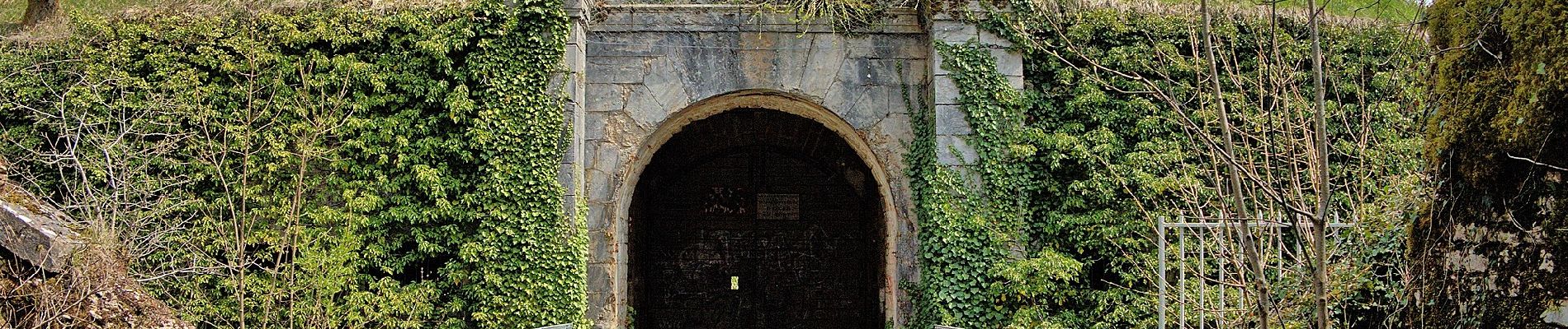 Tour Zu Fuß Besançon - Dame Blanche et Vieux Tilleul - Photo