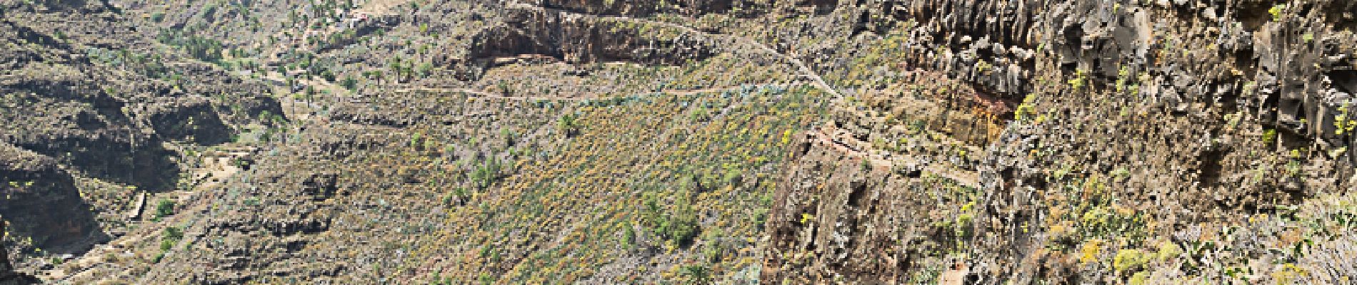 Trail Walking Alajeró - Village d'Imada Saint Sébastien de La Gomera - Photo