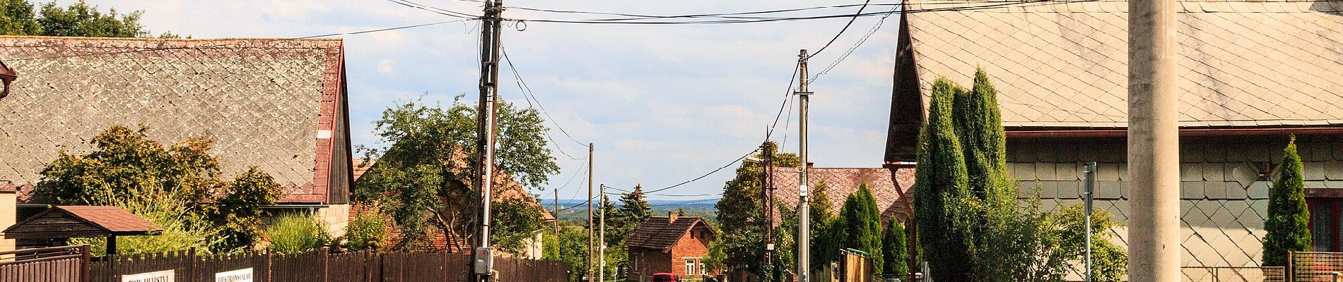 Percorso A piedi Loučeň - [Ž] Seletice - Loučeň - Photo