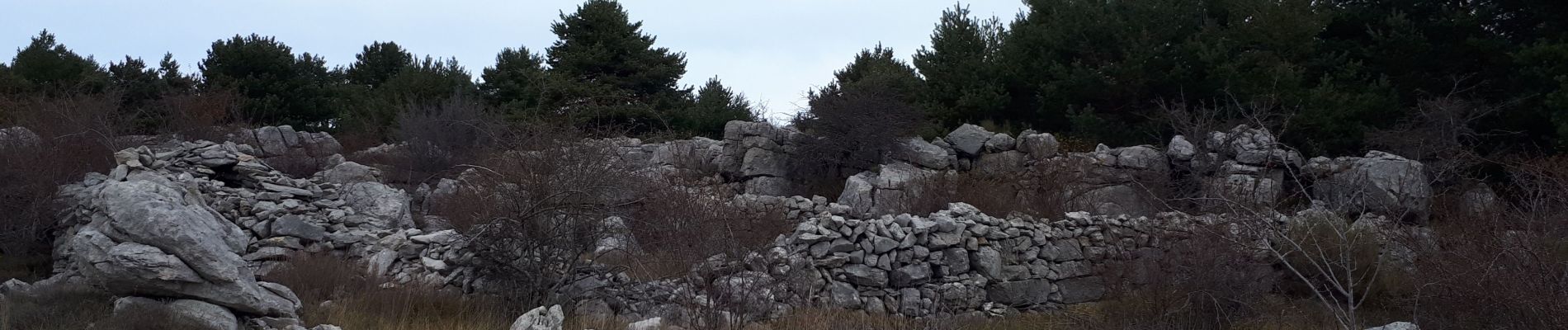 Tocht Stappen Cipières - De Cipieres au plateau de Cavillore - Photo