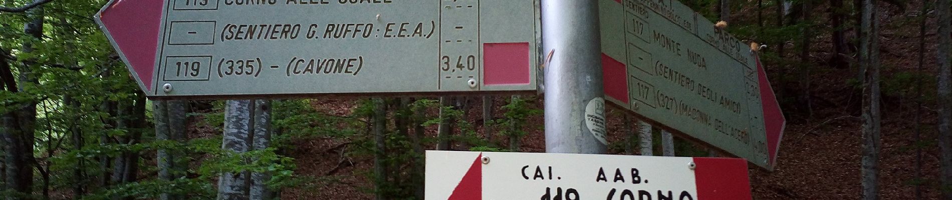 Percorso A piedi Lizzano in Belvedere - Sentiero degli amici - Photo