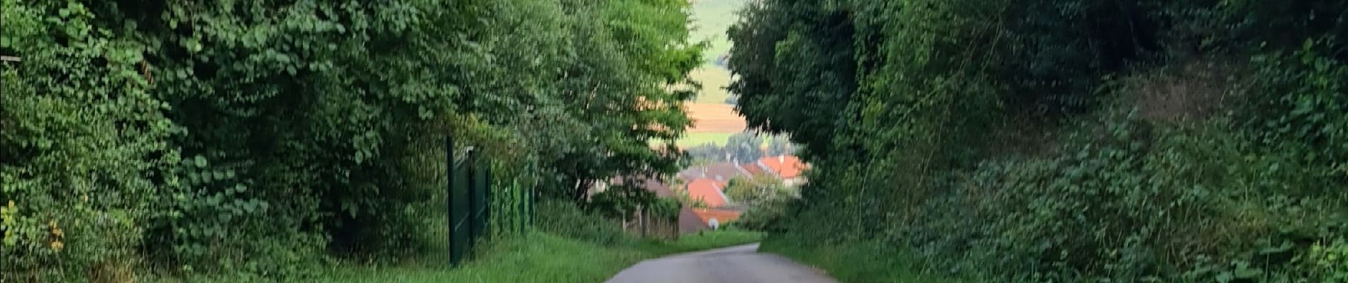 Tocht Stappen Bouxières-aux-Chênes - bouxieres aux chênes - la tour de crany - Photo