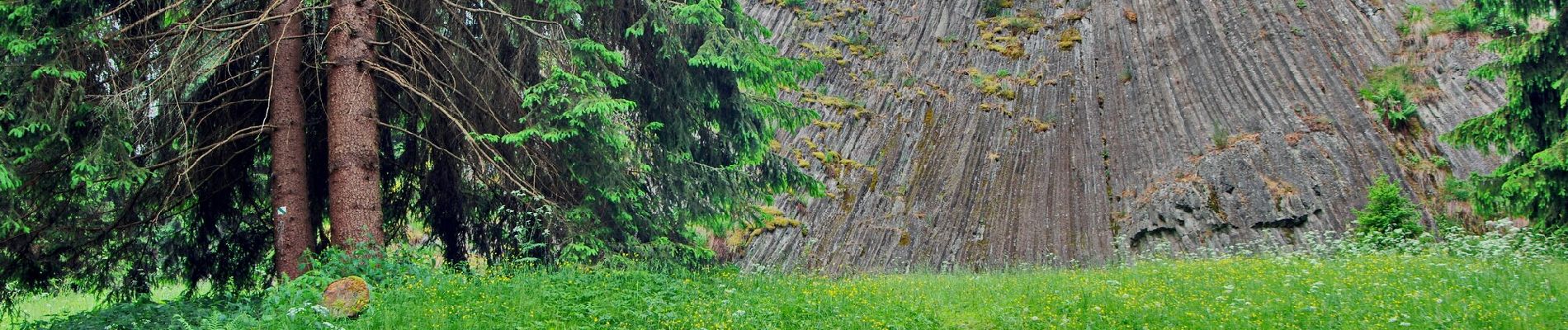 Excursión A pie Rotava - [Ž] Pod Favoritem - Pod Rotavskou myslivnou - Photo