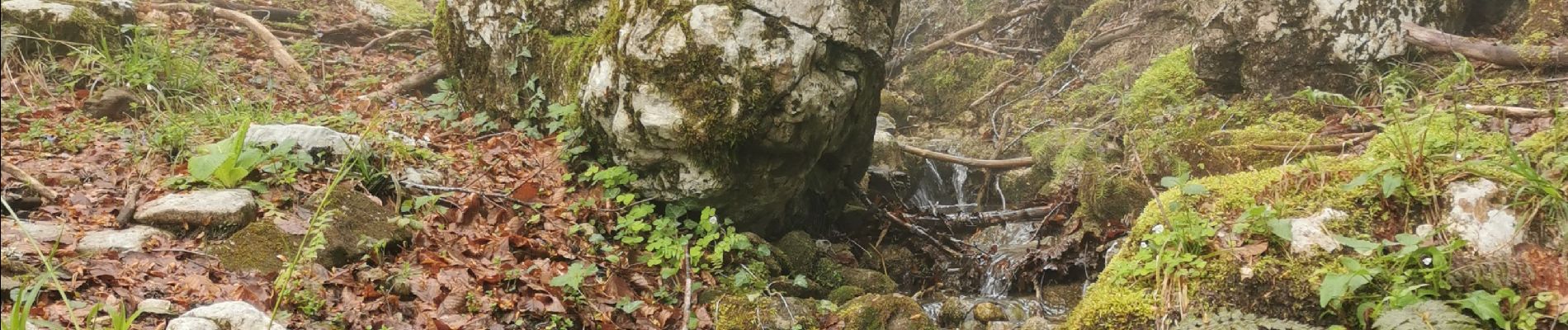 Tocht Stappen Corbel - Corbels, le col des egaux - Photo