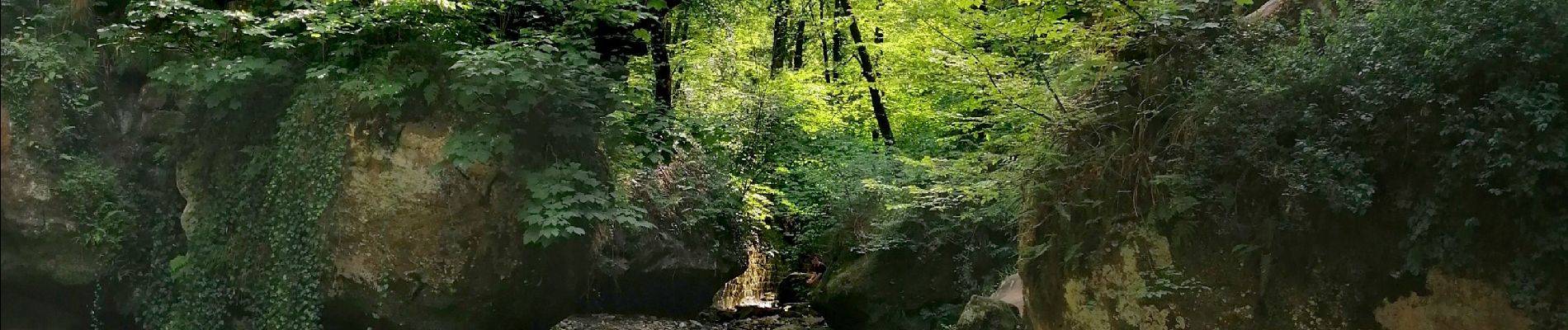 Excursión Senderismo Waldbillig - Les cascades du Schiessentümpel W7 - Photo