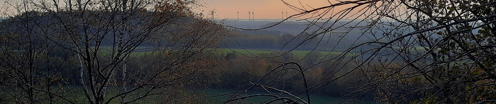 Randonnée Marche La Louvière - A travers les terrils - Saint Vaast - Bois du Luc - Photo