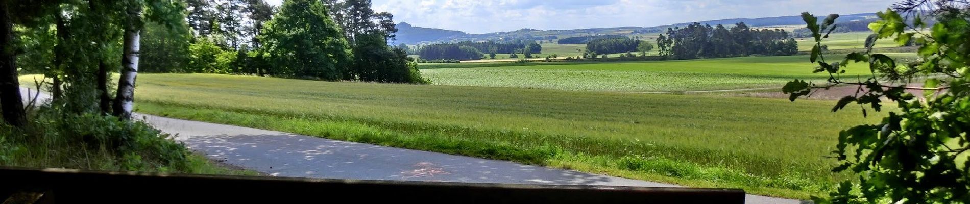 Percorso A piedi Speichersdorf - Speichersdorf Rundwanderweg Nr. 2 - Photo