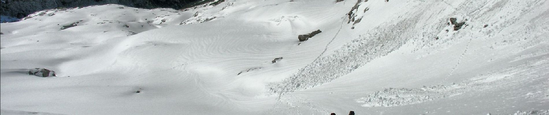 Percorso A piedi Gosau - Gosausee-Adamek - Photo