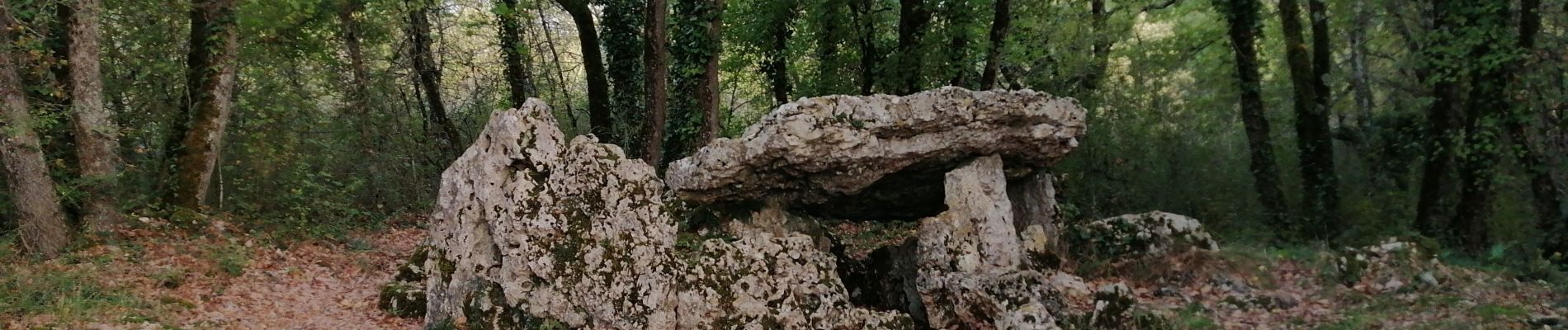 Trail Walking Château-Larcher - Château-Larcher - Photo