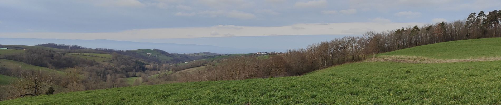 Trail Walking Virigneux - Randonnée de Vérigneux - Photo