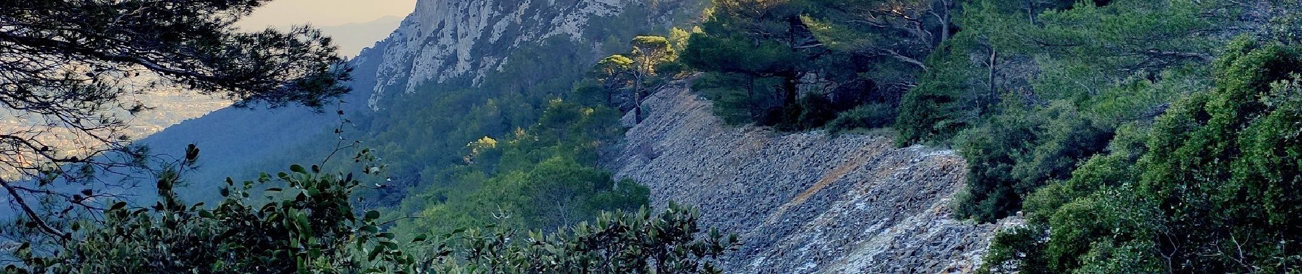 Tocht Stappen Toulon - Uba - St Antoine - Point sublime - Sommet du Faron - Retour Uba - Photo