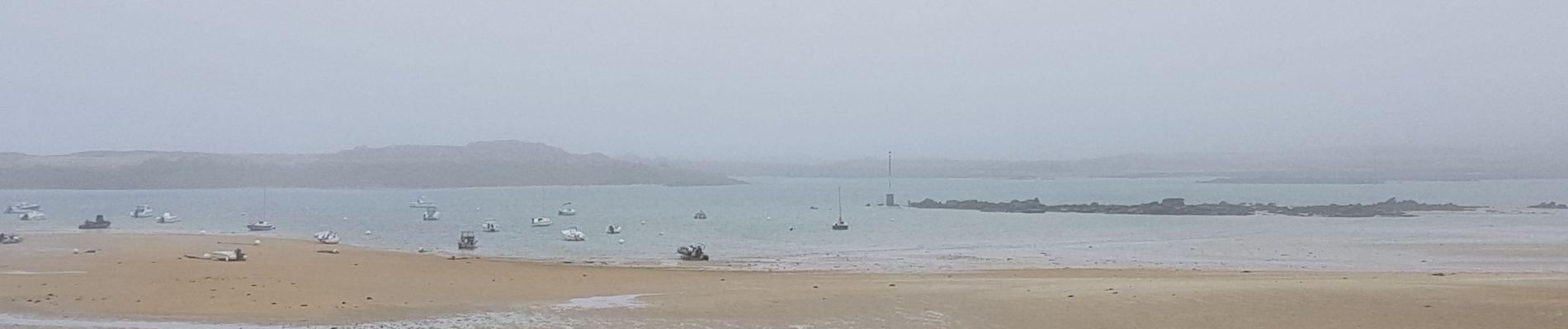 Tocht Stappen Pleumeur-Bodou - L'île Grande Tregastel6 - Photo