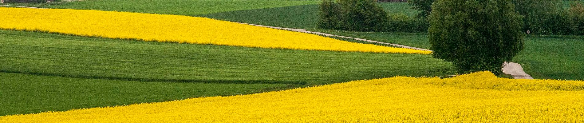 Trail On foot Greding - Quellenwanderweg - Photo