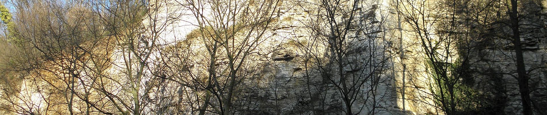 Percorso A piedi Rovolon - Sentiero Rosa dei Colli - Photo