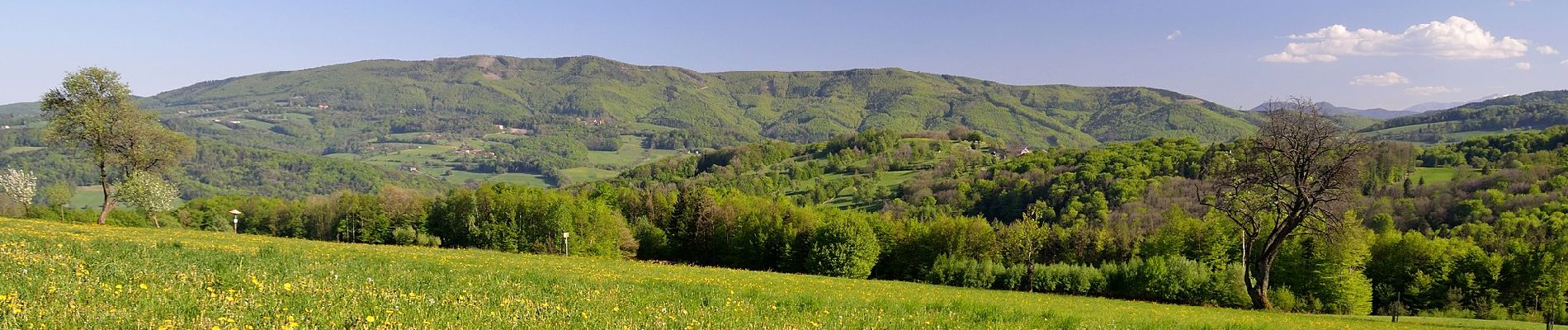 Tour Zu Fuß Gemeinde Brand-Laaben - Wegscheid - Burhof - Photo