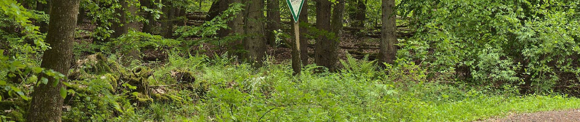 Randonnée A pied Püttlingen - Haldenrundweg Südschleife - Photo