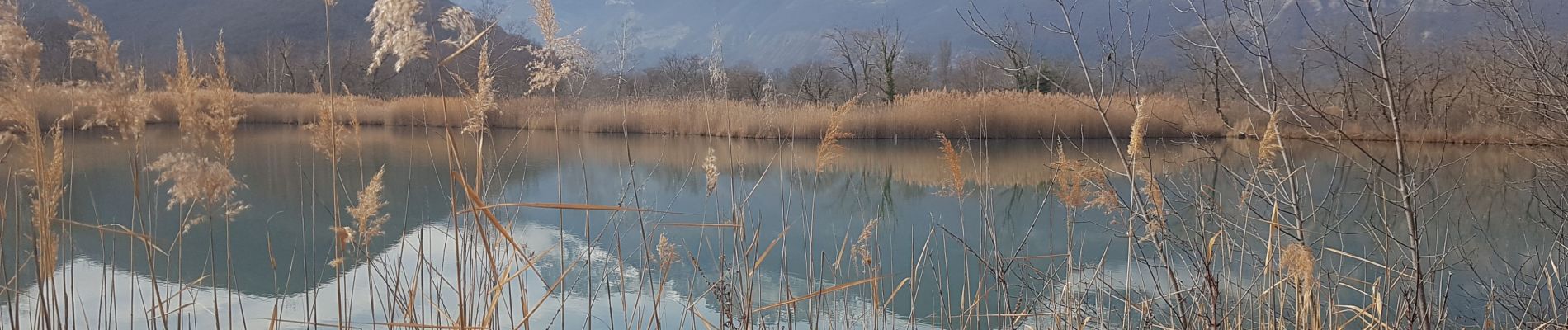 Tocht Stappen Varces-Allières-et-Risset - Les Etangs de Reymure réaménagés en 2023. - Photo