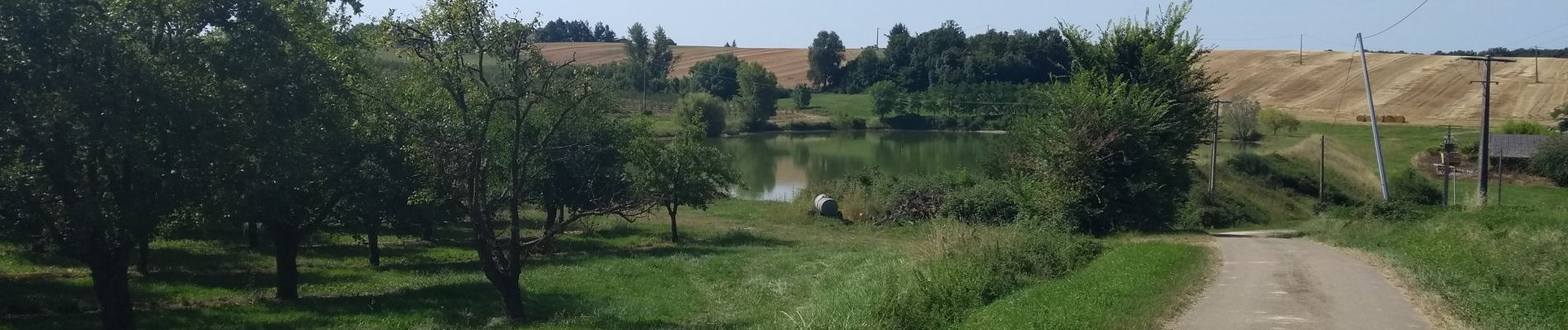 Excursión Senderismo Lévignac-de-Guyenne - A travers les champs et vergers au sud de Lévignac De Guyenne - Photo