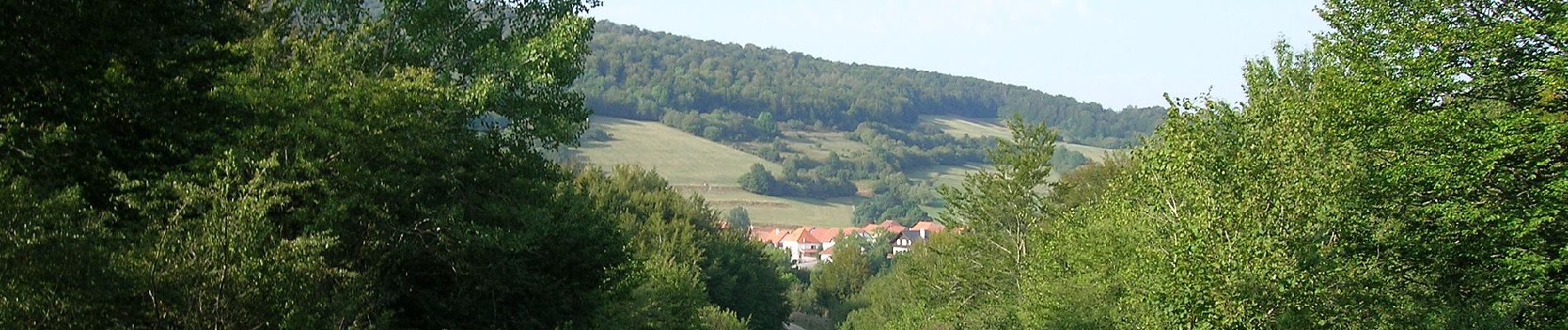 Tocht Te voet Erro - Berraguko Bidea - Photo