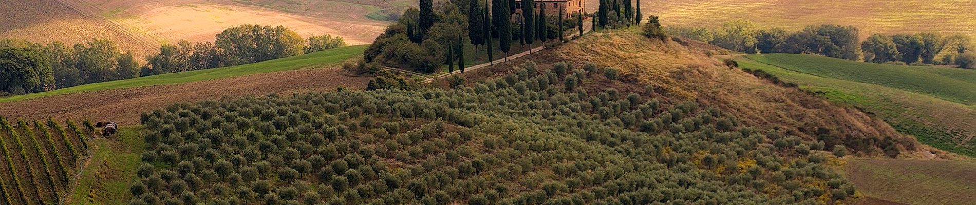 Percorso A piedi Pienza - Pienza - Photo