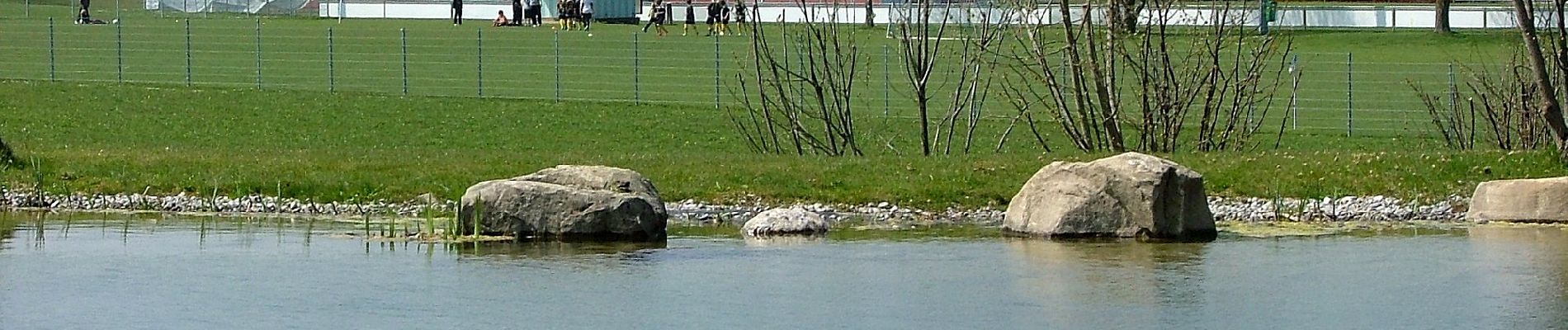 Tocht Te voet Durach - Durach: Schreierwald-Runde - Photo