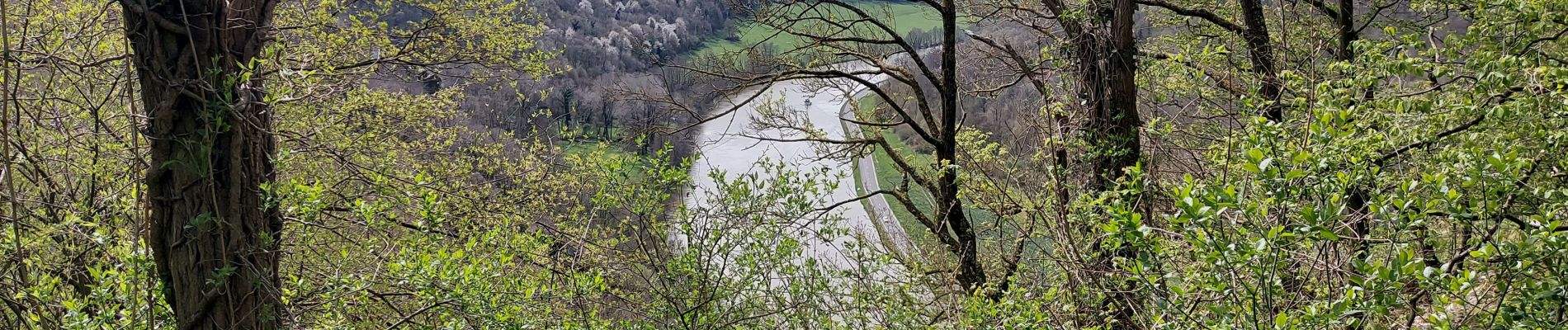 Randonnée Marche Dinant - Anseremme 120422 - Photo