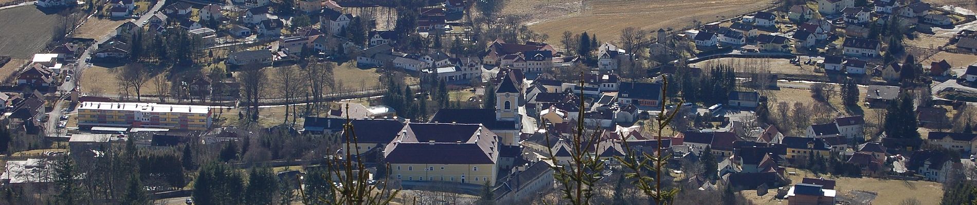 Percorso A piedi Feistritz am Wechsel - Wanderweg Hasleiten - Photo