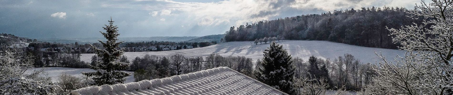 Tocht Te voet Tübingen - DE-SAV Blauer Balken, Bebenhausen - Oberaichen - Photo