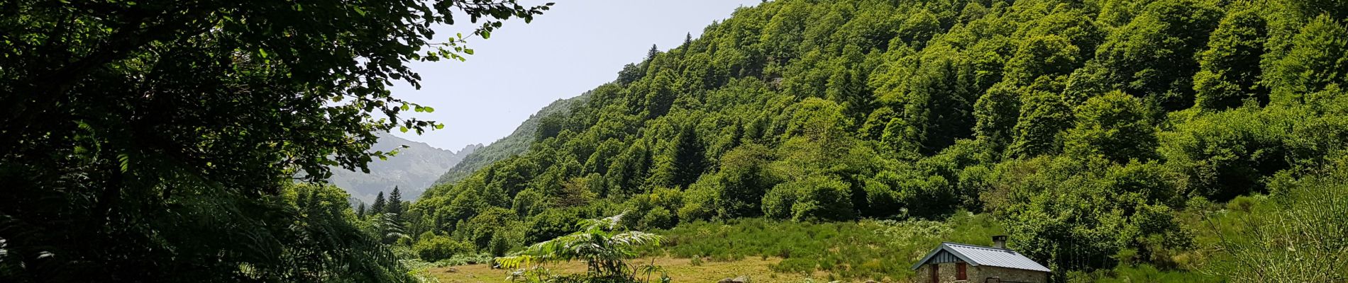 Trail Walking Savignac-les-Ormeaux - cabanes du Najar - Photo