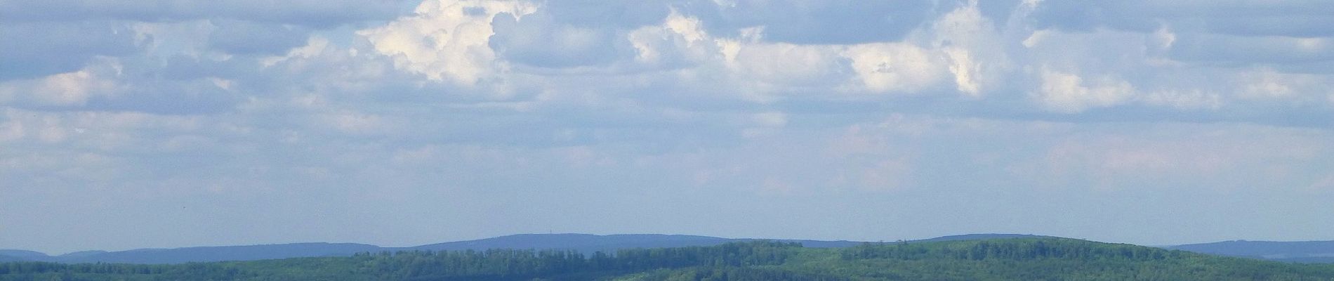 Excursión A pie Bovenden - Rundwanderweg der Besinnung (UNO-Menschenrechtspfad) - Photo