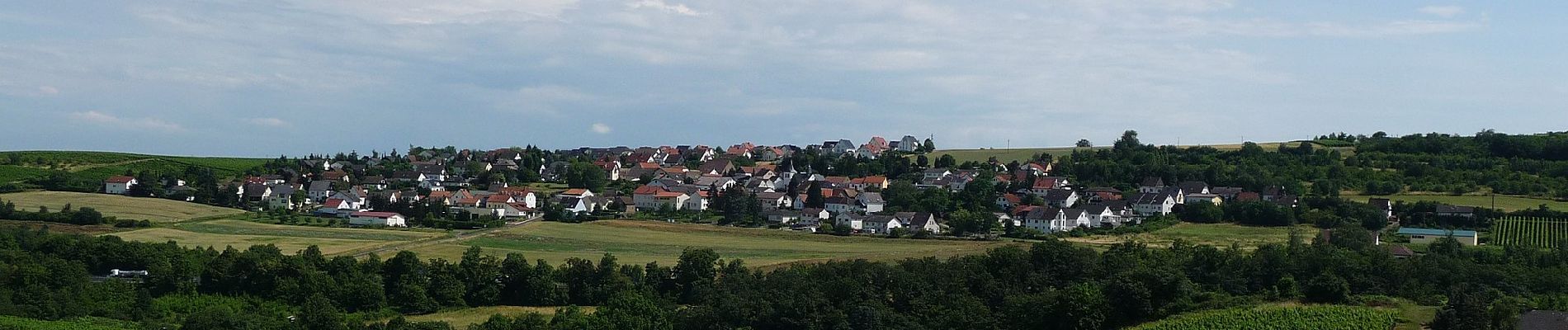 Tour Zu Fuß Waldalgesheim - Rhein-Nahe-Schleife - Photo