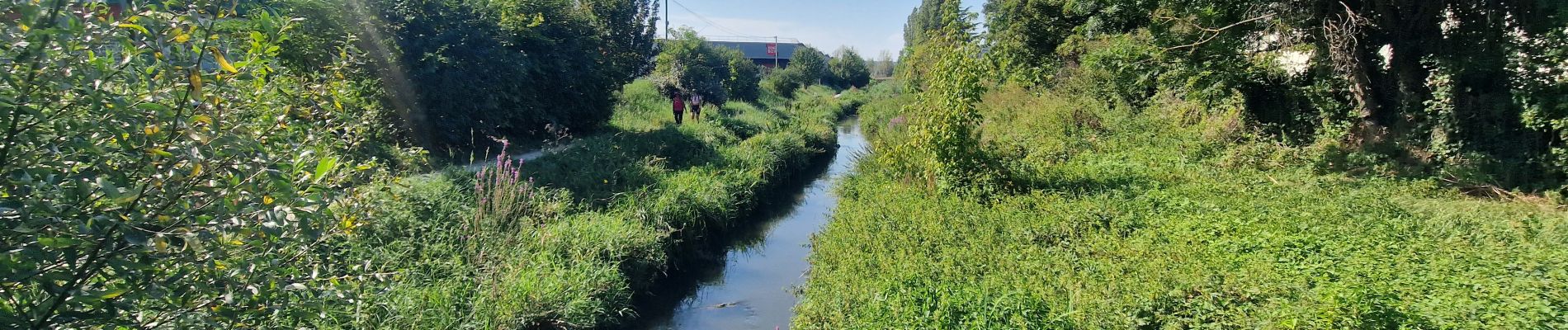 Tocht Stappen Longjumeau - Boucle 23 km autour de Longjumeau - Photo