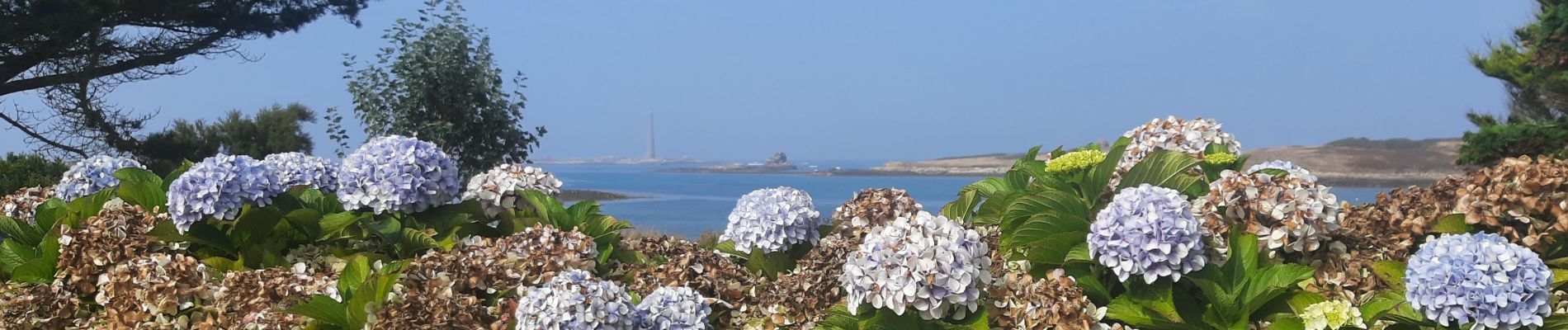 Tour Wandern Plouguerneau - saint michel - Photo