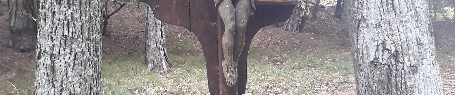 Tocht Te voet Gemeinde Hernstein - Waxeneck - Geyersattel - Photo