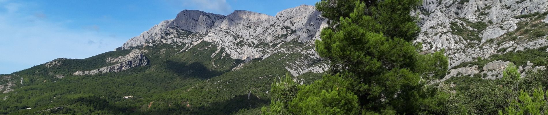 Tour Wandern Puyloubier - La Ste Victoire-pic des mouches-07-10-20 - Photo