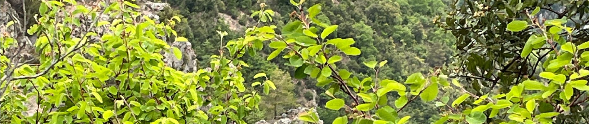 Excursión Senderismo Aiguines - Grand Marges Gorges Verdon réel - Photo