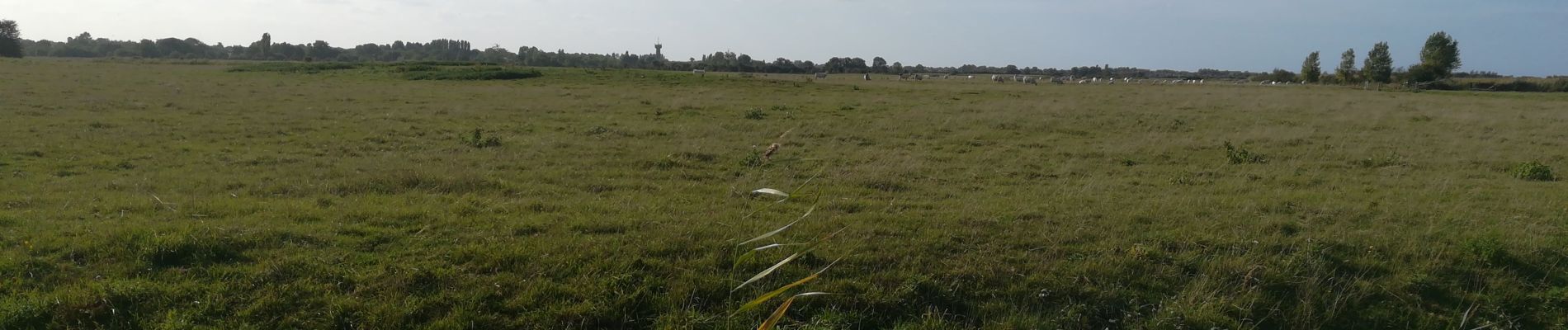 Percorso Mountainbike Caen - balade le long du canal  - Photo