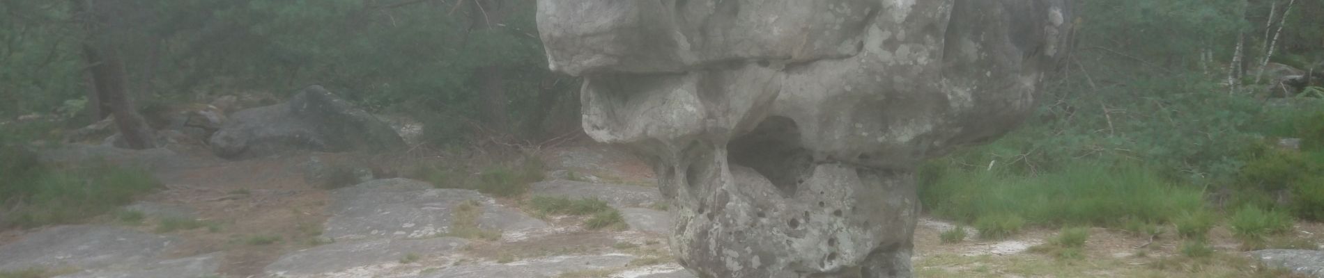 Trail Walking Fontainebleau - ermitage de Franchard/antre des druides - Photo