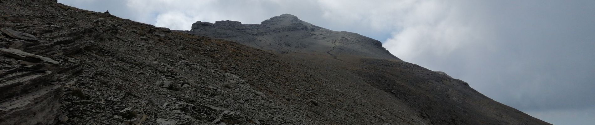 Trail Walking Saint-Dalmas-le-Selvage - Cime de Pal par Gialorgues - Photo