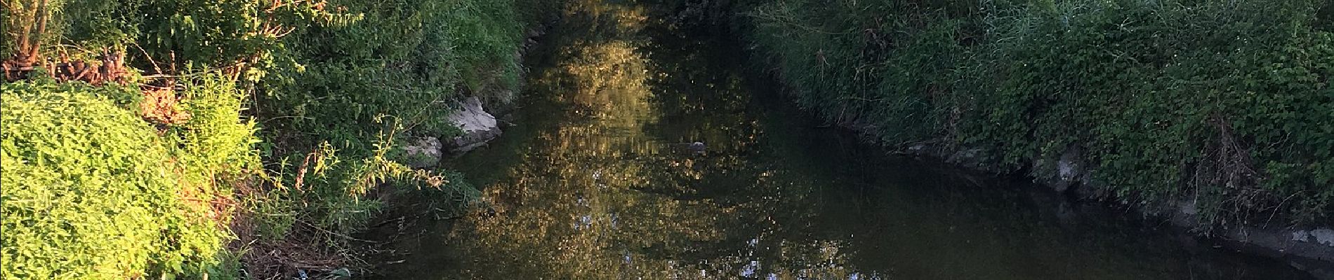 Randonnée A pied Römerswil - Nunwil - Retschwil - Photo