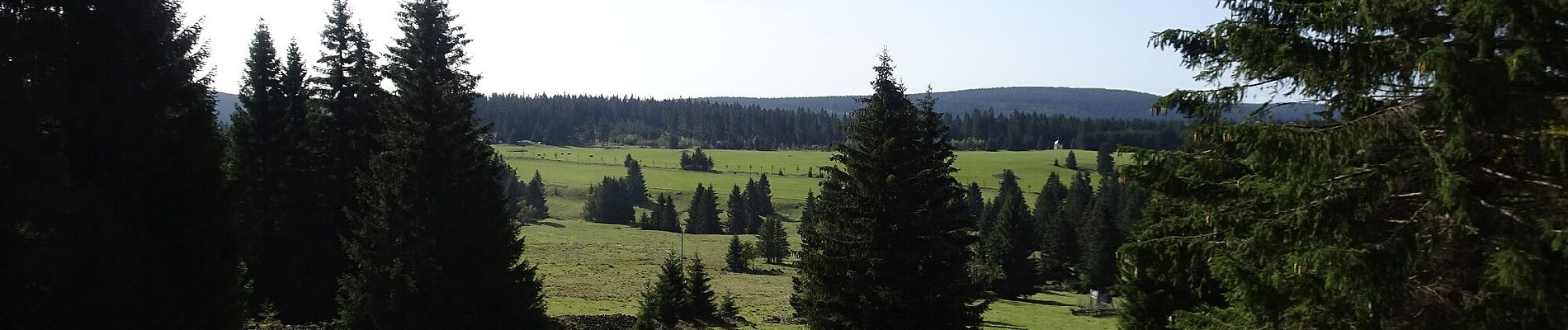 Percorso A piedi Horní Blatná - NS Blatenský příkop - Photo