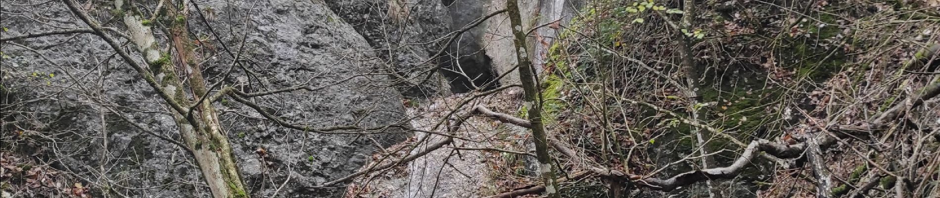 Tour Wandern Vaunaveys-la-Rochette - Vaunavey cascade St Denis  - Photo