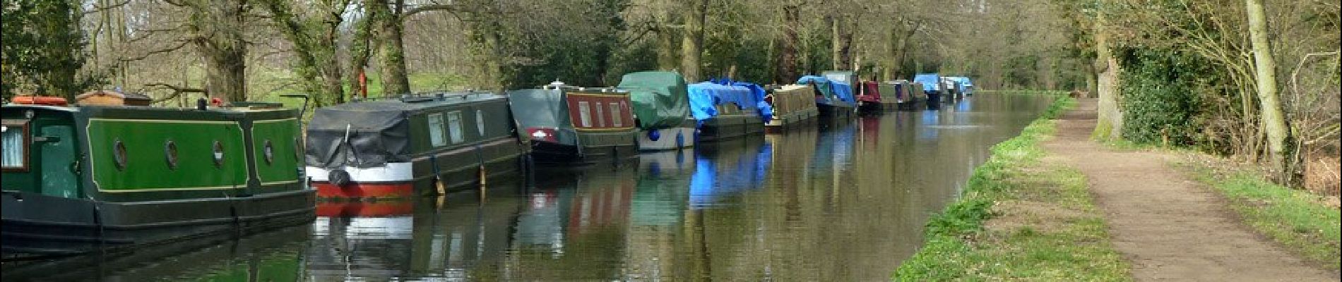 Randonnée A pied Woking - Canons and Cornmills - Photo