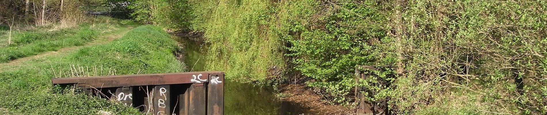 Randonnée A pied Wandlitz - Tegeler Fließtalweg - Photo