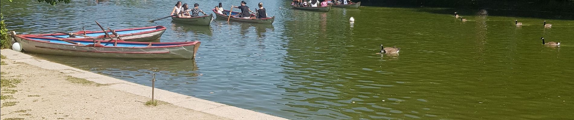 Tocht Stappen Parijs - Bois de Vincennes  - Photo